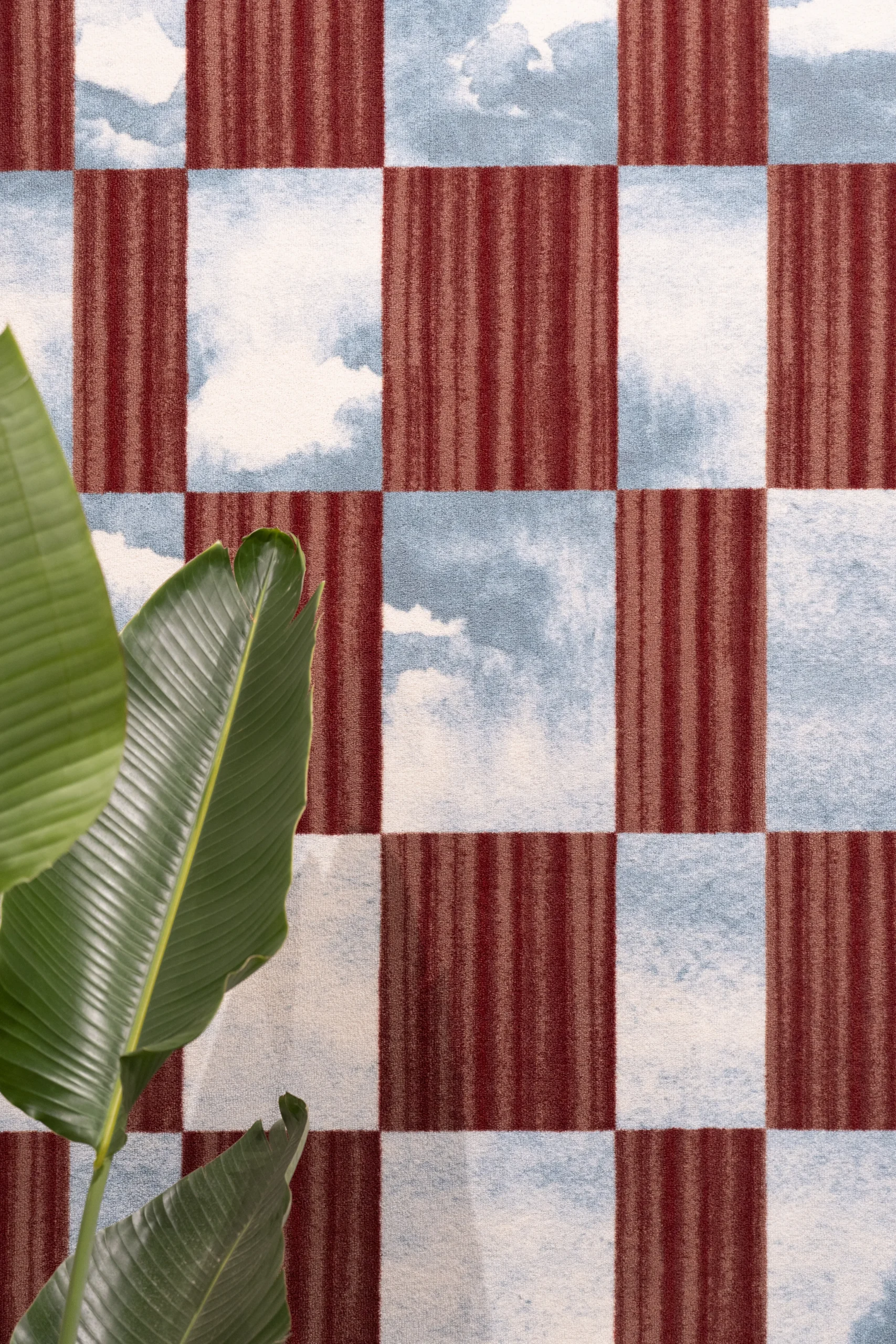 Eco-friendly materials used in sustainable carpet