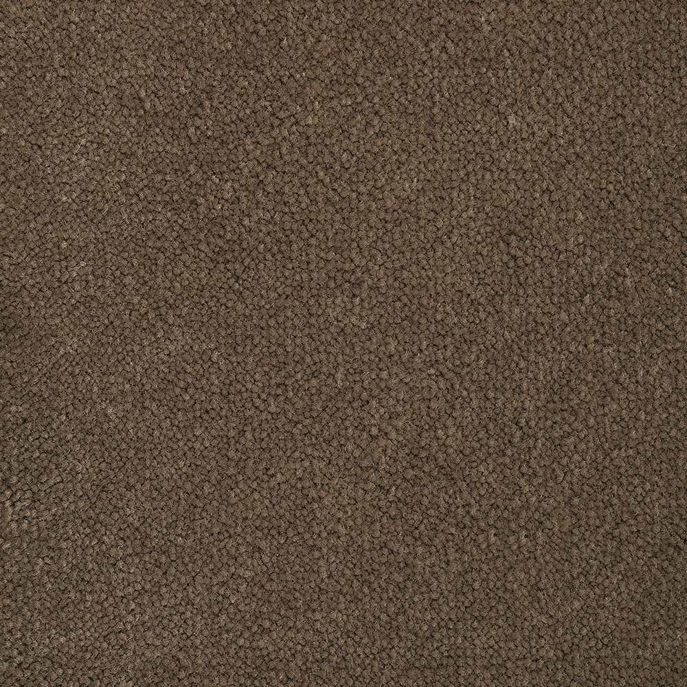 Color variant BLOOMBACK TAUPE 2510