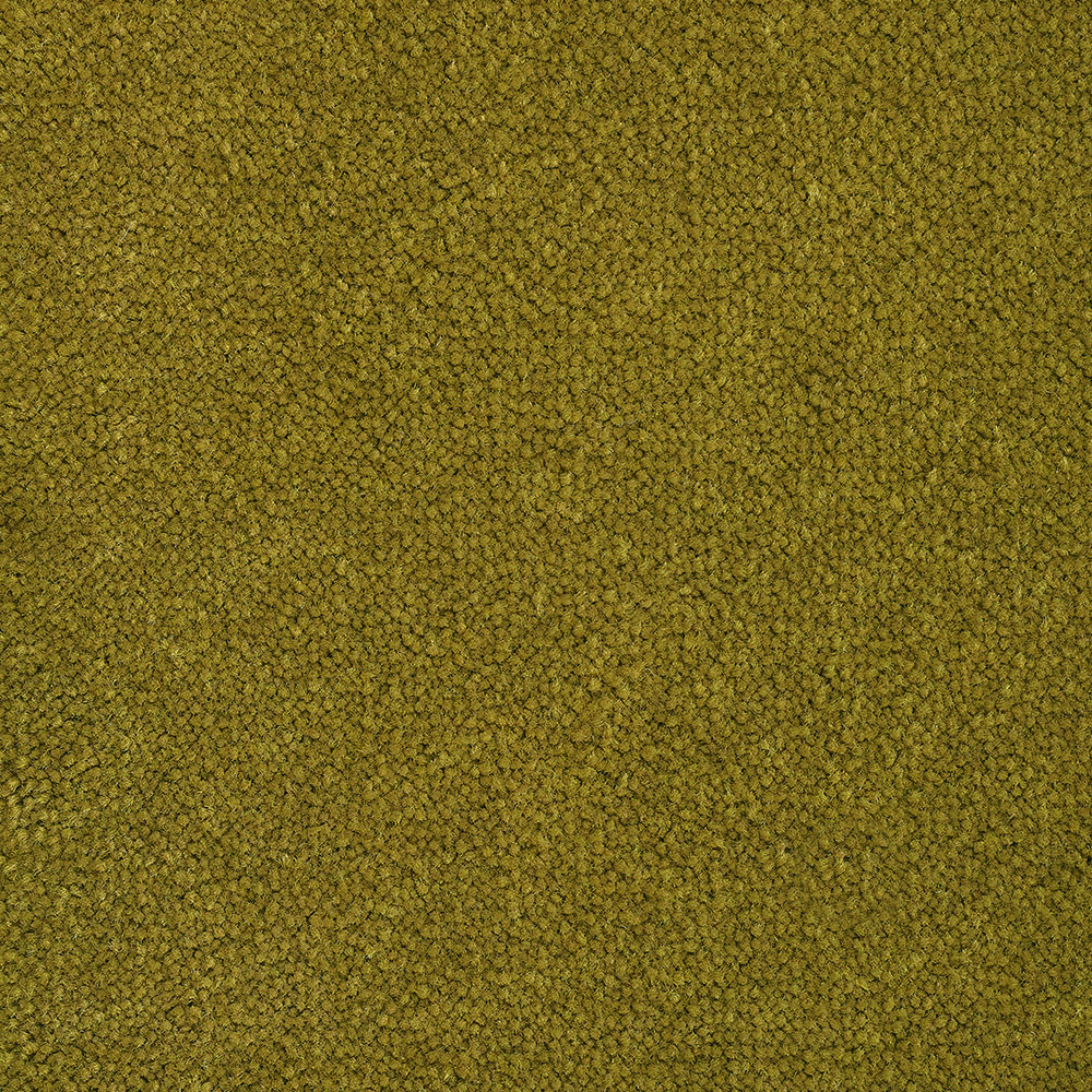 Color variant BLOOMBACK SENAPE 2512