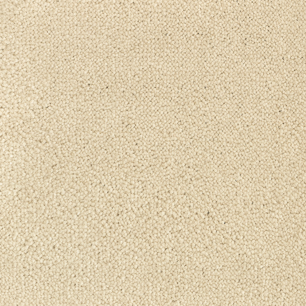 Color variant BLOOMBACK CREAM 2502