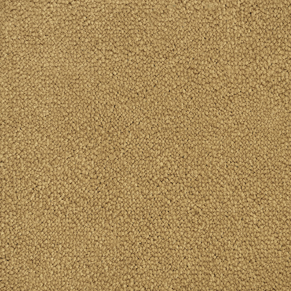 Color variant BLOOMBACK SAND 2503