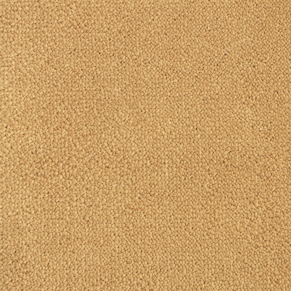 Color variant BLOOMBACK APRICOT 2504