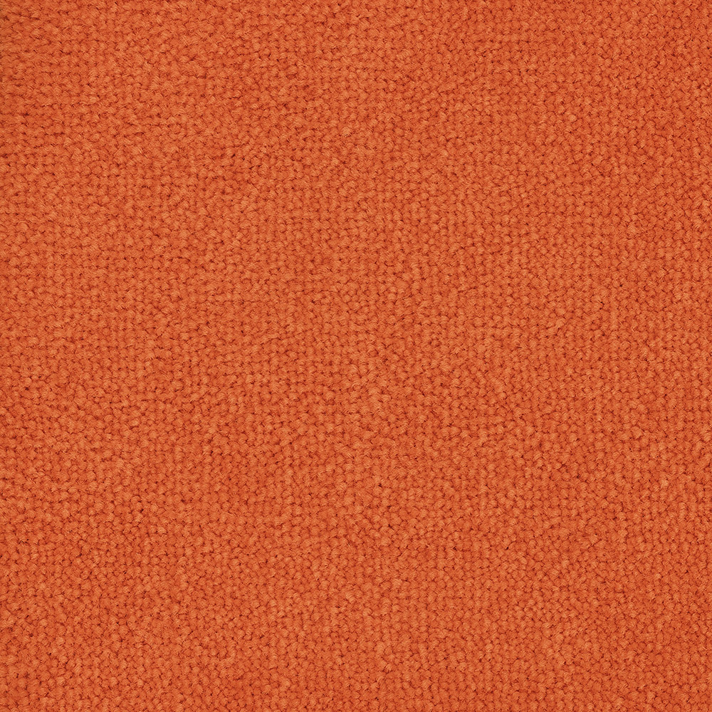 Color variant BLOOMBACK SALMONE 2506