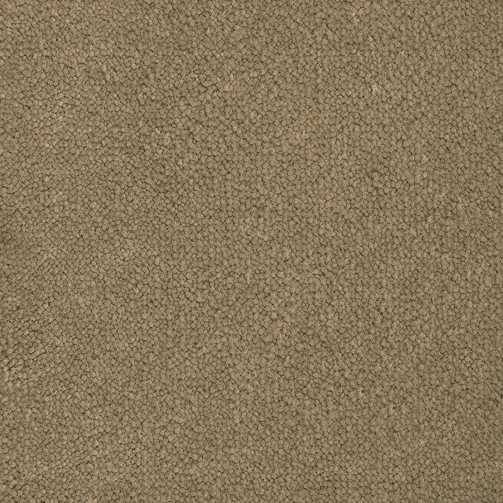 Color variant BLOOMBACK AVENA 2509